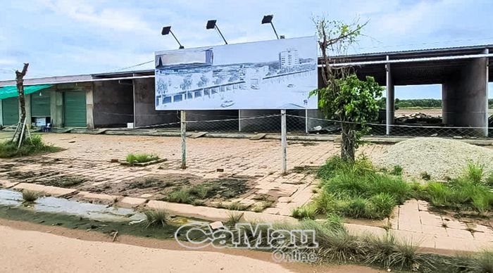 Cuối năm 2021, Công ty Đông Á bị Chủ tịch UBND tỉnh Bạc Liêu ra quyết định xử phạt 110 triệu đồng, buộc tháo dỡ 13 căn nhà tiền chế xây dựng trái phép tại đường Trường Sa, khóm Bờ Tây, phường Nhà Mát, thành phố Bạc Liêu, tỉnh Bạc Liêu (nay là phường Hiệp Thành, tỉnh Cà Mau). (Ảnh chụp năm 2021)