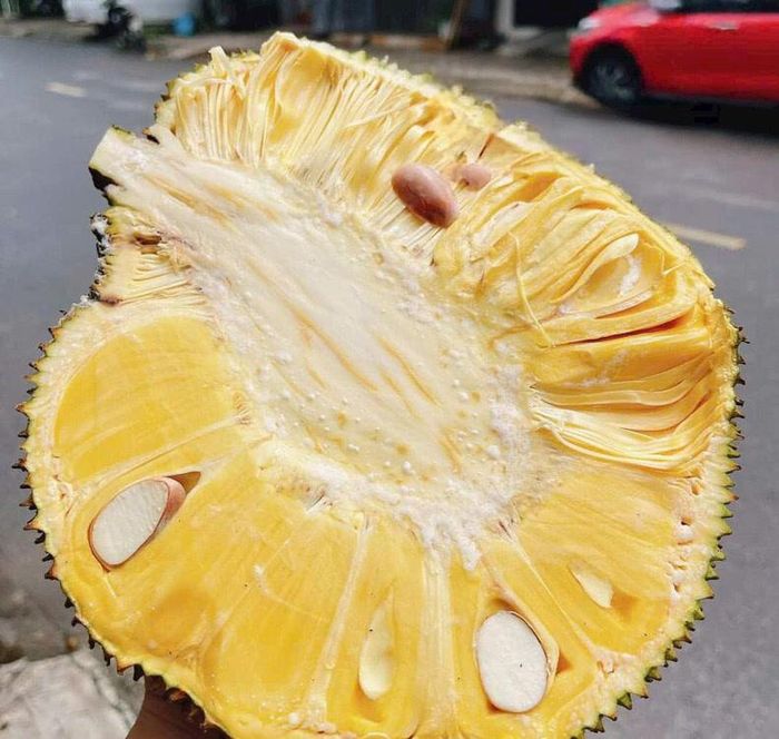 Mít na dai nổi bật ở sự kết hợp giữa vị ngọt vừa, độ giòn và hương thơm - Ảnh minh hoạ