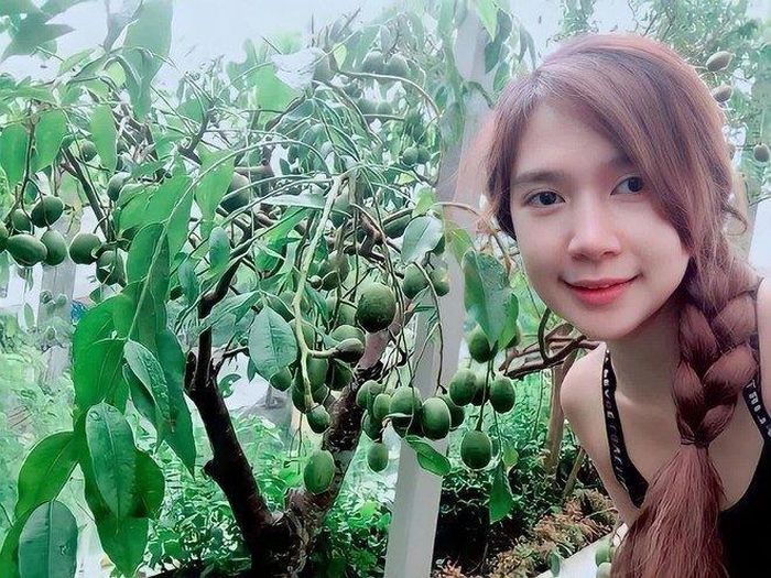 Khu vườn trĩu quả của vợ chồng Lý Hải - Minh Hà.