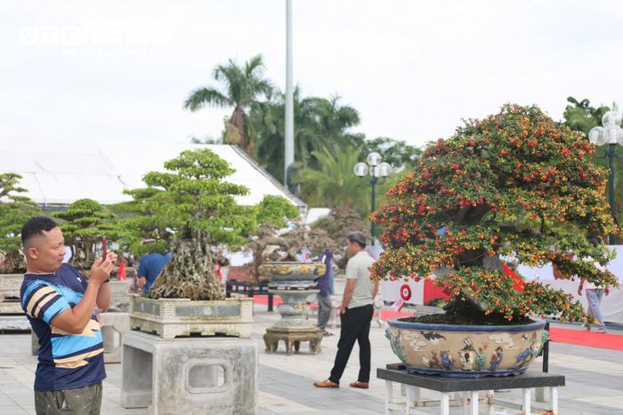 Với chủ đề “Đam mê nghệ thuật - Hội tụ Bắc - Trung - Nam”, triển lãm quy tụ hơn 300 đại biểu, nghệ nhân, nhà vườn cùng hơn 500 tác phẩm cây cảnh nghệ thuật. Nhiều tác phẩm được tuyển chọn theo các tiêu chí “cổ - kỳ - mỹ - văn”, thể hiện sự công phu, sáng tạo và tâm huyết của người chơi cây.