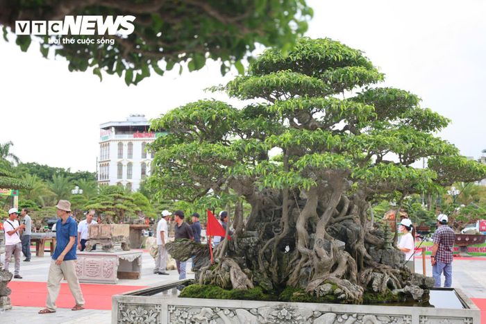 Triển lãm xuất hiện nhiều tác phẩm có tuổi đời lâu năm, dáng thế độc đáo và giá trị cao. 