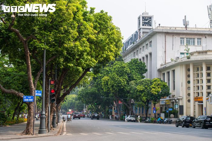 Khu vực phía Đông hồ còn được nghiên cứu phát triển các chức năng công cộng, dịch vụ dưới lòng đất.