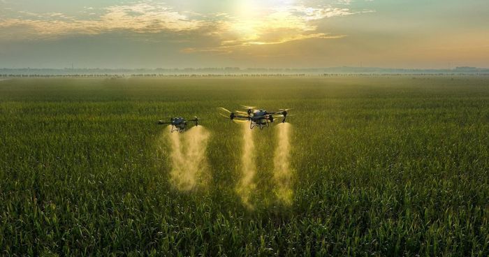 UAV phun thuốc trên cánh đồng.