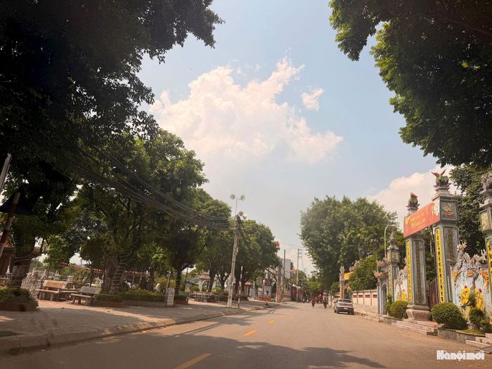 Làng cổ Thuý Lĩnh, phường Lĩnh Nam. Ảnh: PV