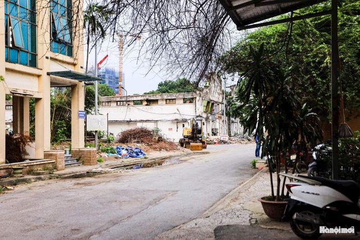 Sau khi hoàn tất việc di dời và tháo dỡ nhà máy, khu đất 277 Nguyễn Trãi được định hướng phát triển dự án nhà ở thương mại kết hợp các chức năng văn phòng, thương mại, dịch vụ và trường học liên cấp.