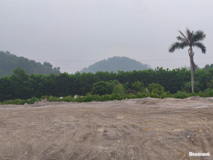 Khu vực nghĩa trang Đông Hạ (cũ), thôn Nam Sơn sau khi hoàn thành việc khắc phục, trả lại hiện trạng ban đầu. Ảnh: N.B