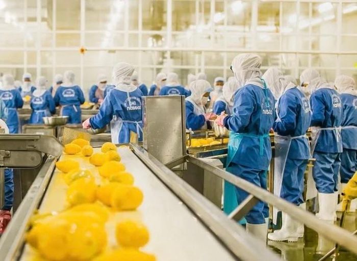 Dây chuyền chế biến sâu của Tập đoàn Nafoods Group. Ảnh: Nafoods.com