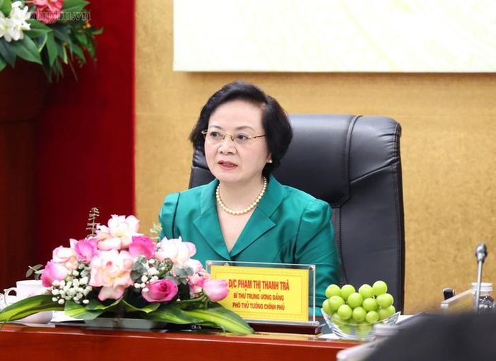 Phó Thủ tướng Phạm Thị Thanh Trà phát biểu tại buổi làm việc. Ảnh: chinhphu.vn/Thu Giang