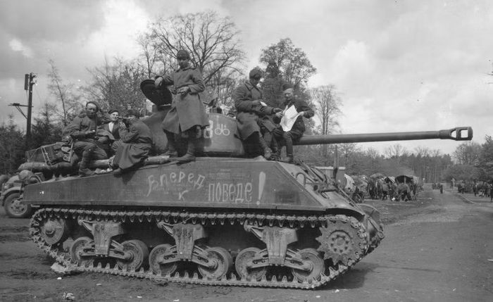 Sau khi rời bãi biển, Sherman đối mặt với một vấn đề khác. Vùng nông thôn Normandy bị chia cắt bởi hàng nghìn hàng rào bocage. Đây không chỉ là những bụi cây thấp.