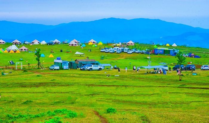 Thảo nguyên Bùi Hui xanh mướt, mang vẻ đẹp hoang sơ, yên bình giữa đại ngàn Quảng Ngãi. Ảnh: Vương Quốc