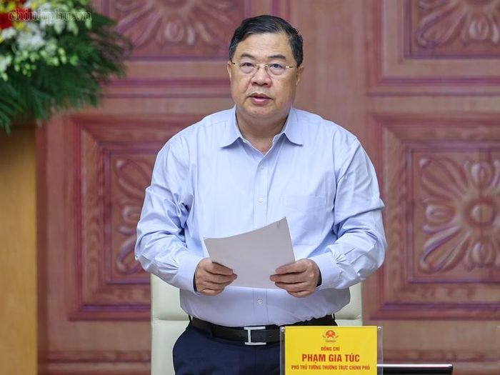 Phó Thủ tướng Thường trực Phạm Gia Túc phát biểu tại cuộc làm việc - Ảnh: chinhphu.vn/Nhật Bắc