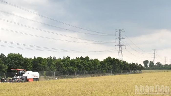 Việc đầu tư hệ thống điện sẽ góp phần giải quyết những phản ánh, kiến nghị của cử tri về hạ tầng điện trong thời gian qua. (Ảnh: NGUYỄN SỰ)