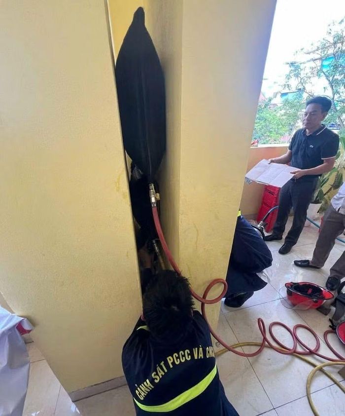 Hiện trường vụ việc tại Trường Tiểu học Phạm Hồng Thái, phường Nam Định, tỉnh Ninh Bình.