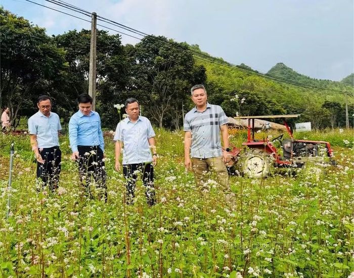 Ông Đỗ Hùng Đức kiểm tra công tác trồng hoa tại điểm dừng chân Núi Đôi, xã Quản Bạ.