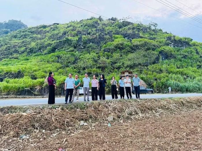 Khu đất gieo trồng hoa tại xã Yên Minh.