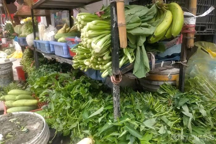 Các loại rau khác cũng tăng giá đáng kể. Rau xà lách Đà Lạt trước có giá 20.000 đồng/kg, hiện tăng lên 40.000 đồng/kg. Rau răm từ 1.000 đồng/bó nhỏ tăng lên 3.000 đồng/bó nhỏ. Hành khô từ 30.000 đồng/kg tăng lên 60.000 đồng/kg. Hành lá từ 30.000 đồng/kg tăng lên 50.000 đồng/kg. Rau cải bắp, bí đao… đều tăng gấp đôi so với nửa tháng trước.