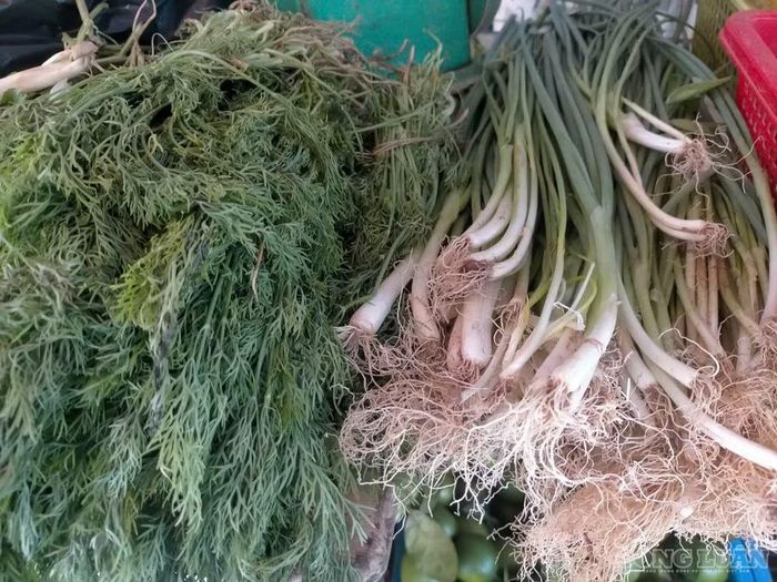 Cụ thể, hành lá có giá nhập từ 50.000-70.000 đồng/kg tùy loại xấu, đẹp, trong khi trước đây khoảng 17.000 đồng/kg. Rau thì là có giá nhập khoảng 150.000 đồng/kg, trước đây 40.000 đồng/kg, tăng hơn 3 lần. Húng quế hiện có giá 120.000 đồng/kg, trước đây 40.000 đồng/kg.