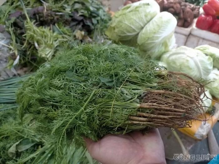 Giá rau tăng cao là tình trạng chung của thị trường nên người bán lẻ tại chợ cũng không thu được nhiều lợi nhuận. Riêng rau thì là và rau mùi đang có giá tăng cao nhất, nguồn hàng cũng đang khan hiếm.