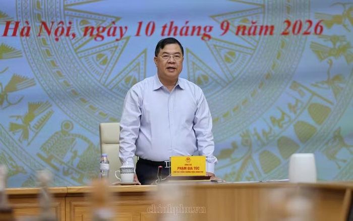 Phó Thủ tướng Thường trực phát biểu tại cuộc làm việc - Ảnh: CP