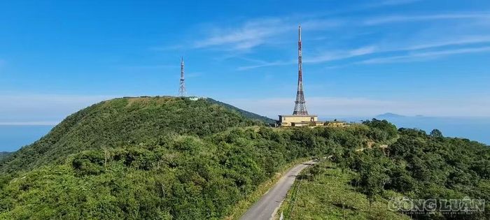 Bán đảo Sơn Trà là khu vực có giá trị đặc biệt về hệ sinh thái rừng, đa dạng sinh học và cảnh quan tự nhiên. Ảnh: Thanh Hải