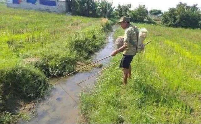 Xử lý hành vi dùng kích điện đánh bắt thủy sản