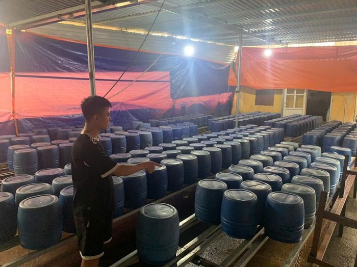 Hiện trường sản xuất giá đỗ "ngậm" hóa chất.