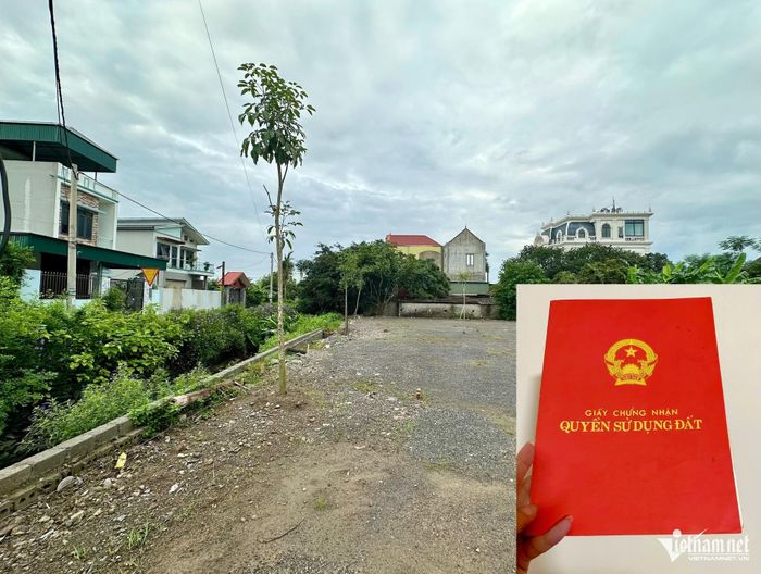 Hộ gia đình, cá nhân được xác định lại diện tích đất ở với thửa đất ở có vườn, ao, đất thổ cư đã được cấp đỏ trước ngày 1/7/2004 theo quy định tại khoản 6 Điều 141 Luật Đất đai năm 2024. Ảnh minh hoạ: Hồng Khanh