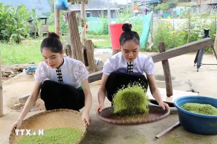 Các cô gái Thái làm cốm thuần thục. (Ảnh: Tiến Khánh/TTXVN)