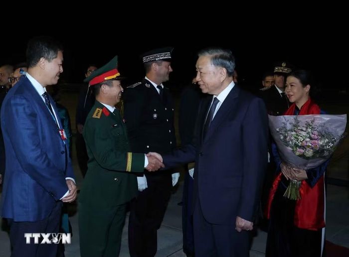 Cán bộ nhân viên Đại sứ quán Việt Nam tại Pháp đón Tổng Bí thư, Chủ tịch nước Tô Lâm và Phu nhân tại sân bay Orly, Paris. (Ảnh: Thống Nhất/TTXVN)