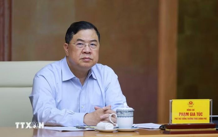 Phó Thủ tướng Thường trực Phạm Gia Túc phát biểu. (Ảnh: Dương Giang/TTXVN)