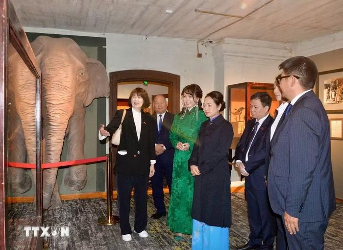 Phu nhân Nguyễn Thị Thanh Nga và Phu nhân Gantsetseg Tsendsuren tham quan quần thể Cung điện Hoàng đế Bogd VII và Cung điện mùa Đông. (Ảnh: TTXVN phát)