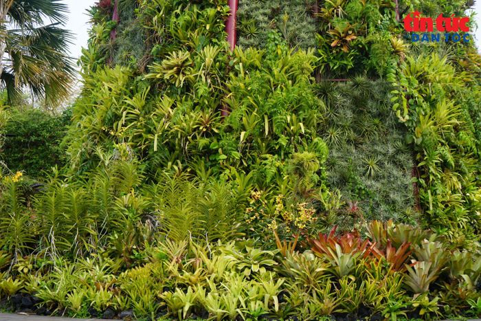 Hơn 162.900 cây thuộc hơn 200 loài được trồng trên các cấu trúc “siêu cây” tại Gardens by the Bay.