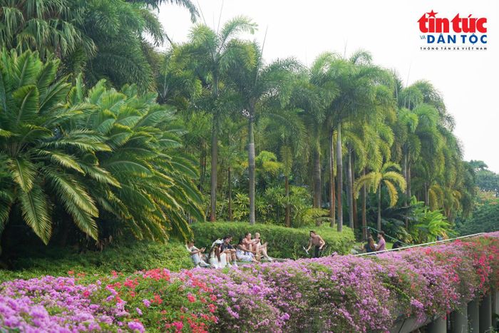 Du khách thư thái hoà mình vào không gian xanh mát, chờ đợi thưởng thức chương trình biểu diễn ánh sáng kết hợp âm nhạc Garden Rhapsody.