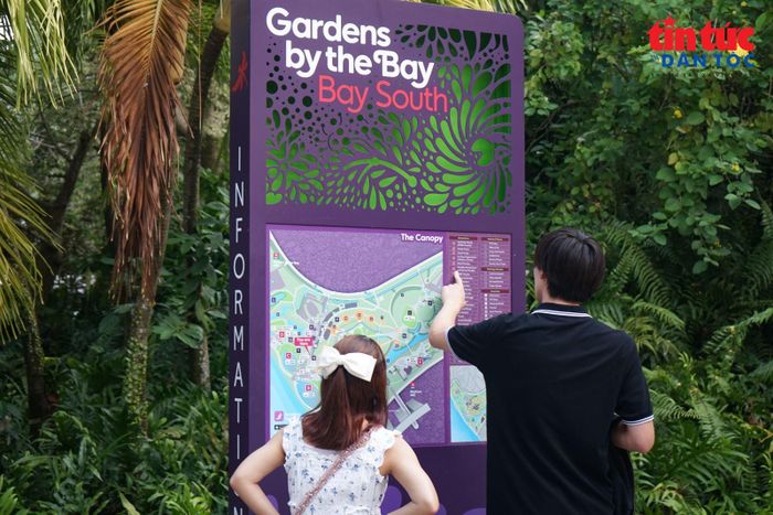 Du khách cẩn thận tra cứu bảng chỉ dẫn trước khi tham quan công viên Garden by the Bay.