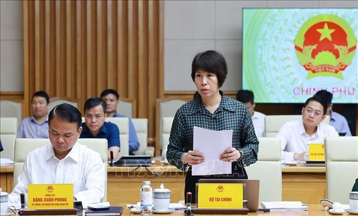 Thứ trưởng Bộ Tài chính Nguyễn Thị Bích Ngọc phát biểu. Ảnh: Dương Giang/TTXVN