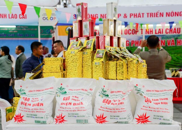 Các nông sản Điện Biên được trưng bày tại các triển lãm. Ảnh: TTXVN phát
