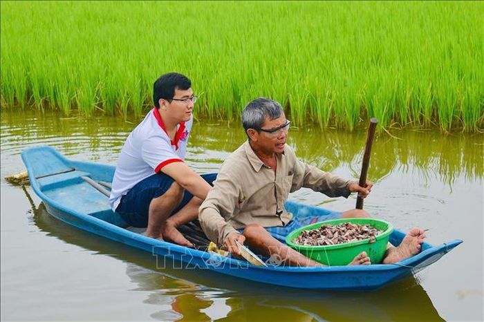 Anh Trần Minh Thuần và nông dân cùng thăm đồng ruộng sản xuất theo mô hinh lúa - tôm của Hợp tác xã Nông nghiệp Long Hiệp, xã Long Hiệp. Ảnh: TTXVN phát