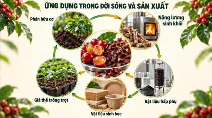 TP Hồ Chí Minh tận dụng phụ phẩm cà phê để tạo giá trị gia tăng.