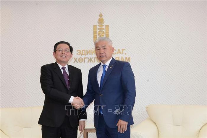 Phó Thủ tướng Hồ Quốc Dũng hội kiến Phó Thủ tướng Thường trực, Bộ trưởng Kinh tế và Phát triển Mông Cổ Enkhbayar. Ảnh: TTXVN phát