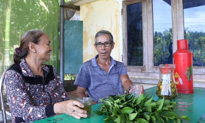Uống nước chè xanh hàng ngày là thói quen của nhiều người dân, đặc biệt là những người lớn tuổi.