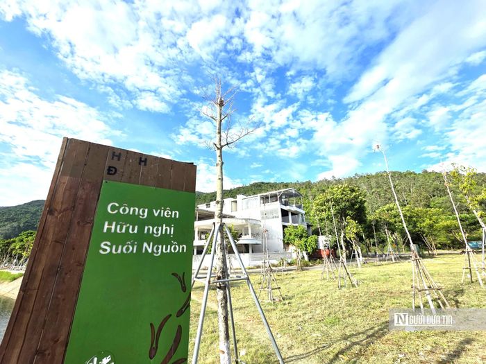 Nhiều cây xanh tại Công viên Hữu nghị Suối Nguồn hiện chỉ còn thân và cành khô.