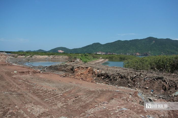 Quan trọng hơn, mục tiêu của dự án nhằm ứng phó với biến đổi khí hậu, đặc biệt là hiện tượng nước biển dâng; ngăn chặn sự xói lở, nước mặn xâm thực, mở rộng phạm vi bảo vệ 49ha quỹ đất; tạo hành lang giao thông phục vụ cho công tác ứng cứu kết hợp làm giao thông.