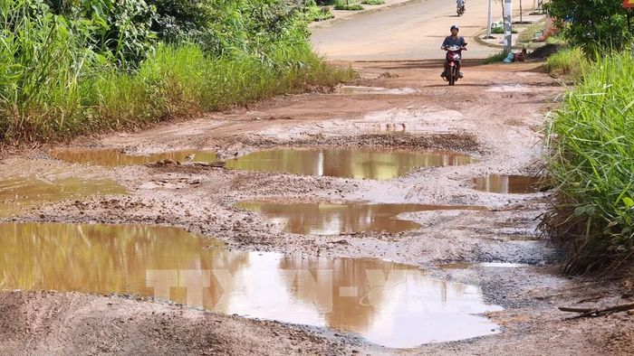 Đường Lê Thánh Tông, phường Nam Gia Nghĩa (tỉnh Lâm Đồng), xuất hiện nhiều ổ voi, ổ gà và vũng nước lớn, gây khó khăn cho người dân khi lưu thông. Ảnh: Nguyễn Huy Thành – TTXVN 