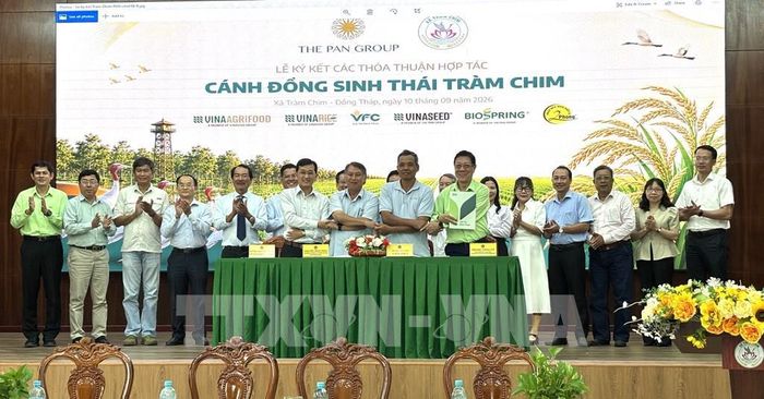 Nghi thức ký kết hợp tác 4 nhà sản xuất lúa sinh thái Tràm Chim. Ảnh: Hồng Nhung - TTXVN