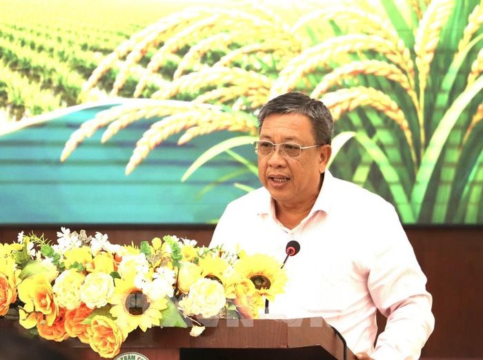 Ông Lê Thanh Tùng, Chủ tịch Hiệp hội ngành hàng lúa gạo Việt Nam, chia sẻ tại buổi ký kết. Ảnh: Hồng Nhung - TTXVN