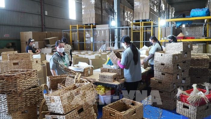 Công nhân sản xuất sản phẩm thủ công mỹ nghệ từ cây lục bình. Ảnh: Nhựt An - TTXVN