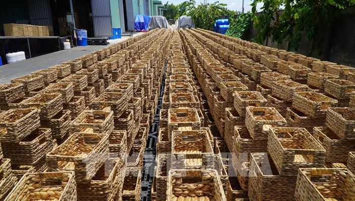 Sản phẩm thủ công mỹ nghệ làm từ cây lục bình, nguyên liệu sẵn có trên địa bàn tỉnh Đồng Tháp. Ảnh: Nhựt An - TTXVN