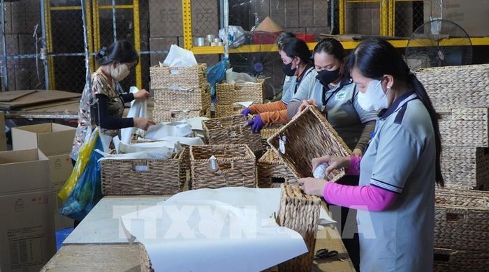 Công ty TNHH Xuất nhập khẩu Bình An Thịnh góp phần tạo việc làm cho nhiều lao động ở địa phương. Ảnh: Nhựt An - TTXVN