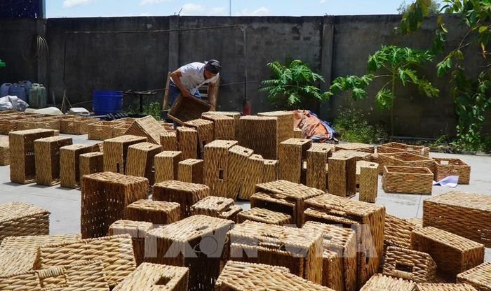 Công nhân phơi nắng sản phẩm thủ công mỹ nghệ làm từ cây lục bình. Ảnh: Nhựt An - TTXVN