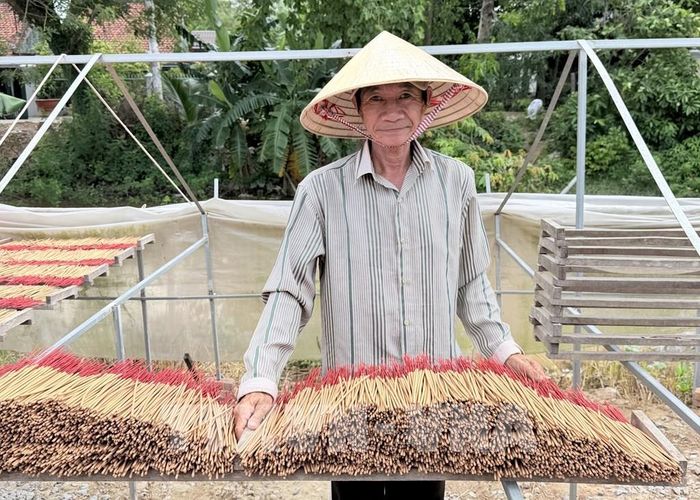 Nhang được xếp thành từng chồng, phơi nắng để khô đều, giữ màu và hương thơm tự nhiên. Ảnh: Thanh Sang - TTXVN